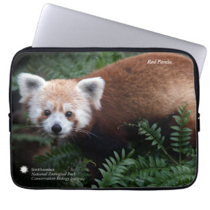 Protection Pour Ordinateur Portable Panda rouge de Smithsonien