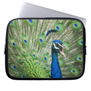 Protection Pour Ordinateur Portable Paon criard