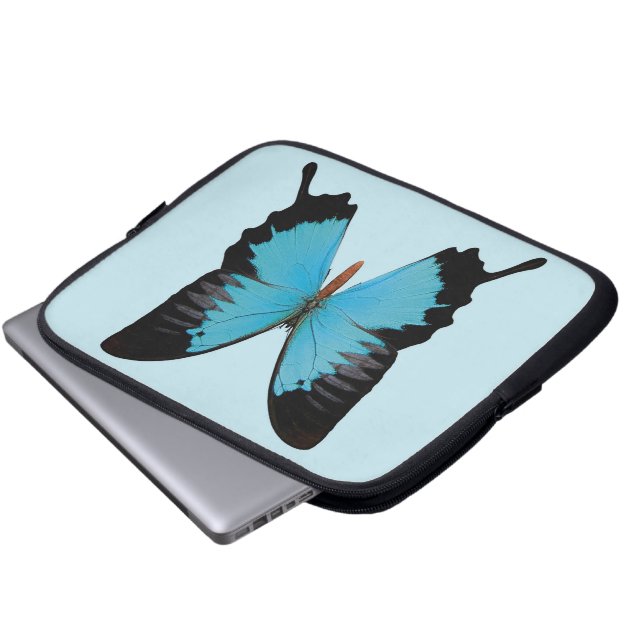 Protection Pour Ordinateur Portable Paon Royal (Devant bas)