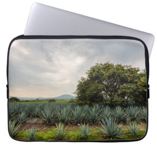 Protection Pour Ordinateur Portable Paysage avec l'agave bleu