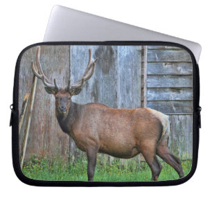 Protection Pour Ordinateur Portable Photo de 6 de point élans de Taureau