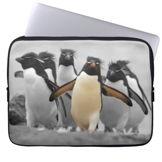 Protection Pour Ordinateur Portable Pingouins de Rockhopper (Devant)