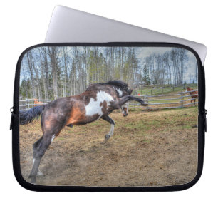 Protection Pour Ordinateur Portable Pinto Stallion équine photo d'action
