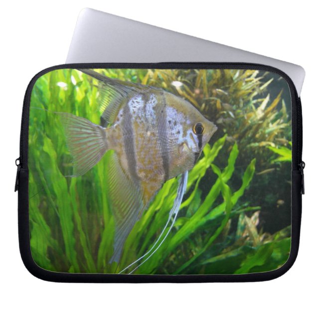 Protection Pour Ordinateur Portable Poisson Angel (Devant)
