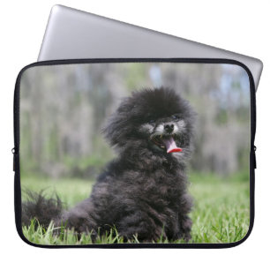 Protection Pour Ordinateur Portable Pomeranian supérieur noir