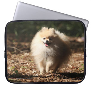 Protection Pour Ordinateur Portable Pomeranian trottant dans le feuille tombé