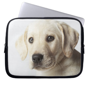 Protection Pour Ordinateur Portable Portrait de chiot blond de labrador retriever