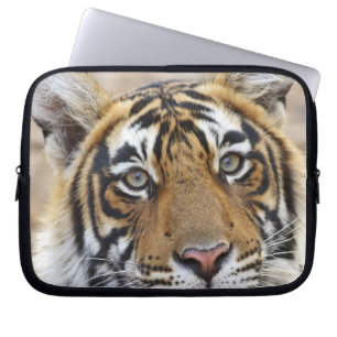 Protection Pour Ordinateur Portable Portrait du tigre royal du Bengale, Ranthambhor