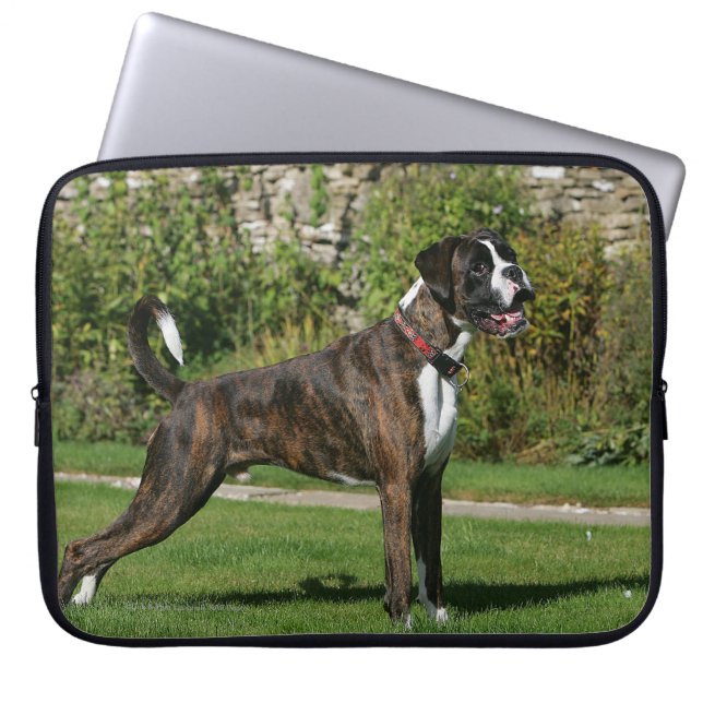 Protection Pour Ordinateur Portable Position Brindle d'exposition canine de boxeur (Devant)