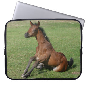 Protection Pour Ordinateur Portable Poulain arabe se reposant