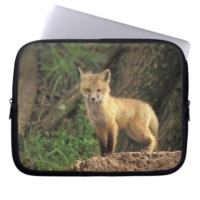Protection Pour Ordinateur Portable Poupe Renard Rouge devant la tanière (Vulpes vulpe (Devant)