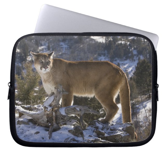 Protection Pour Ordinateur Portable Puma (Devant)