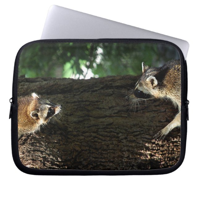 Protection Pour Ordinateur Portable Raccoon mère et kit 2 (Devant)