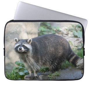Protection Pour Ordinateur Portable Raton laveur