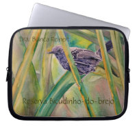 Sauvez la nature sauvage - marais Antwren