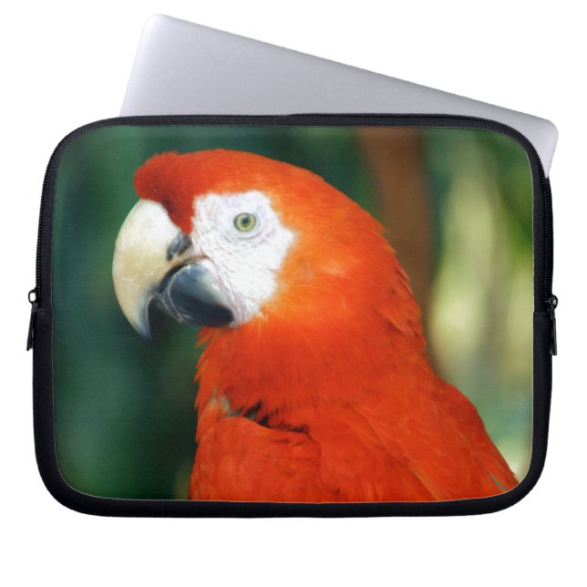 Protection Pour Ordinateur Portable Scarlet Macaw (Devant)