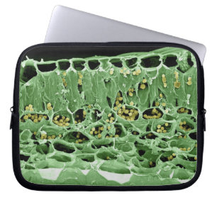 Protection Pour Ordinateur Portable Section transversale de feuille