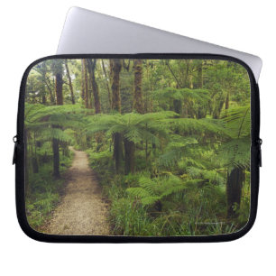 Protection Pour Ordinateur Portable Sentier de randonnée dans la forêt tropicale avec