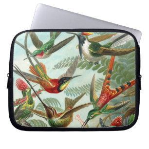 Protection Pour Ordinateur Portable tableau classique de la faune des oiseaux colibris