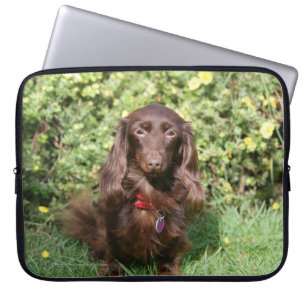 Protection Pour Ordinateur Portable Teckel miniature aux cheveux longs Brown