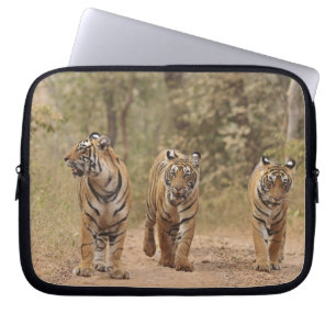 Protection Pour Ordinateur Portable Tigres royaux du Bengale sur la piste, Ranthambhor