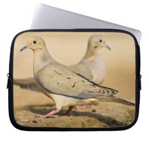 Protection Pour Ordinateur Portable Tourterelle triste