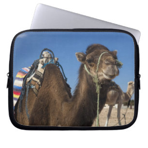 Protection Pour Ordinateur Portable Tunisie, désert du Sahara, Douz, Zone Touristique,