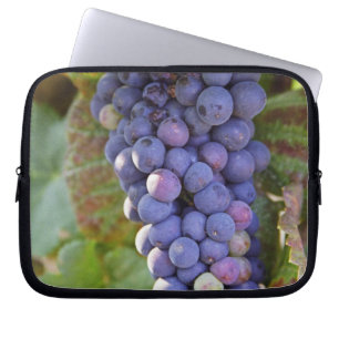 Protection Pour Ordinateur Portable Un groupe de raisins Pinot Noir dans un Chambertin