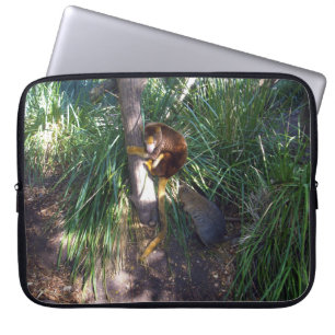 Protection Pour Ordinateur Portable Un Kangourou D'Un Arbre Australien,