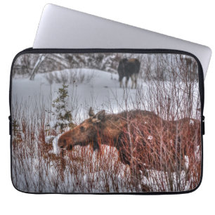 Protection Pour Ordinateur Portable Vache d'orignal sauvage du Canada dans le marais d
