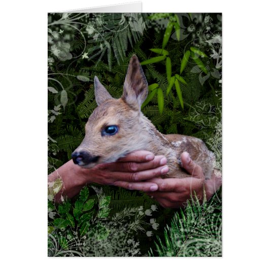 "Protégé" (Devant)