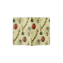 buterfies, jardin d'été