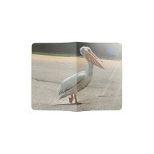 Pélican Spirit Animal Crossing the Road Photograph