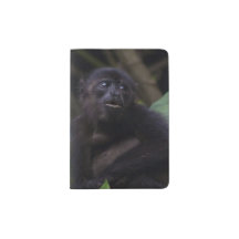 Singe d'hurleur mignon