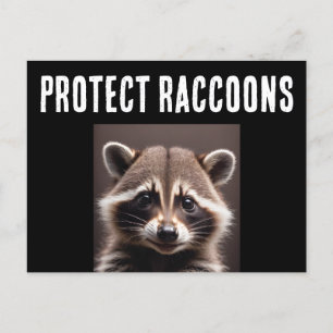 PROTÉGER LES CARTES POSTALES RACCOONS RACCOON