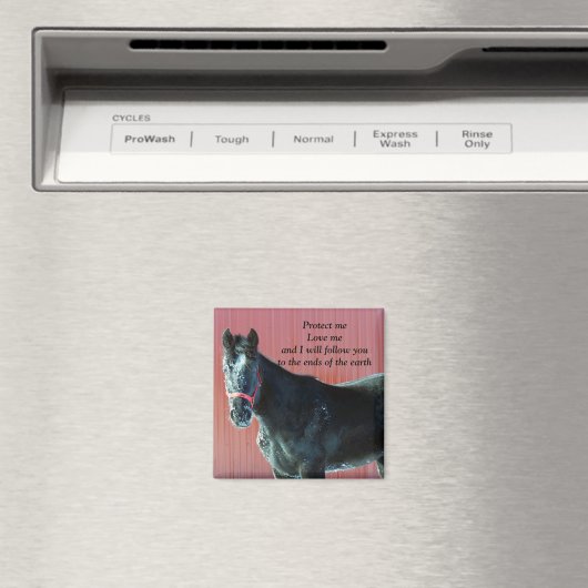 Protéger mon aimant (In Situ (Lave-vaisselle))