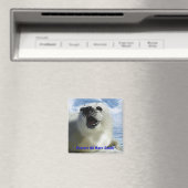 Protégez tous les phoques à harpe ! Magnet de faun (In Situ (Lave-vaisselle))