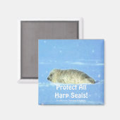 Protégez tous les phoques à harpe ! Magnet de la f (Recto/Verso)