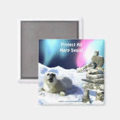 Protégez tous les phoques à harpe ! Magnet de la f (Recto/Verso)