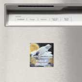 Protégez tous les phoques à harpe ! Magnet de la f (In Situ (Lave-vaisselle))