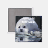 Protégez tous les phoques à harpe ! Magnet de la f (Recto/Verso)