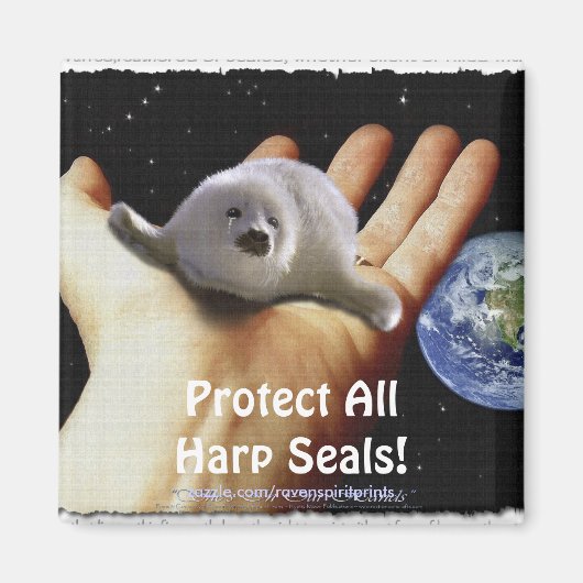 Protégez tous les phoques à harpe ! Magnet de la f (Devant)