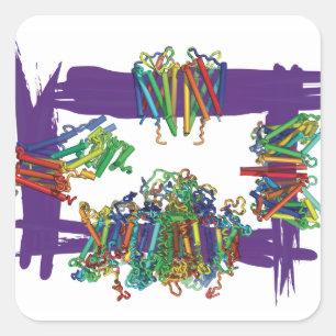 Protéines Membranes À Travers Un Stickers Boîte