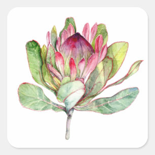 Protheefventiel Vierkante Sticker