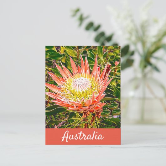 Protheembloem Australische reisdruk Briefkaart (Staand voorkant)
