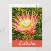 Protheembloem Australische reisdruk Briefkaart (Voorkant / Achterkant)