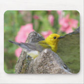 Prothonotary Bath Mousepad Muismat (Voorkant)