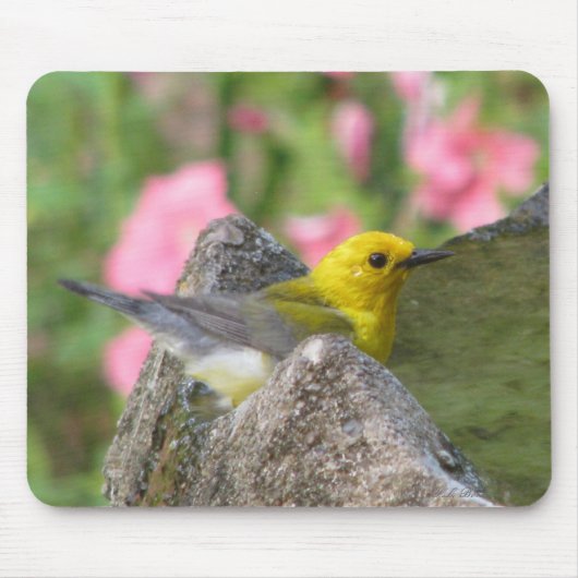 Prothonotary Bath Mousepad Muismat (Voorkant)