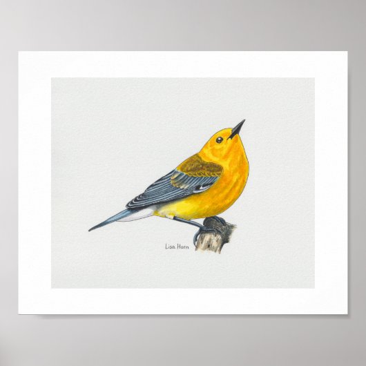 Prothonotary Warbler Art Print (Voorkant)