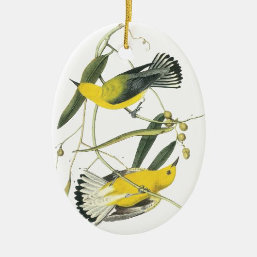 Prothonotary Warbler, John Audubon Keramisch Ornament (Voorkant)
